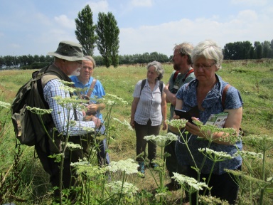 240422 Cursus Insecten Collectie Natuurlijk Delfland